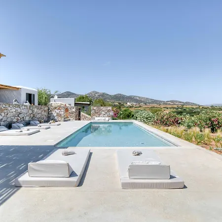 Villa Stone Pine House - Private Pool Andiparos