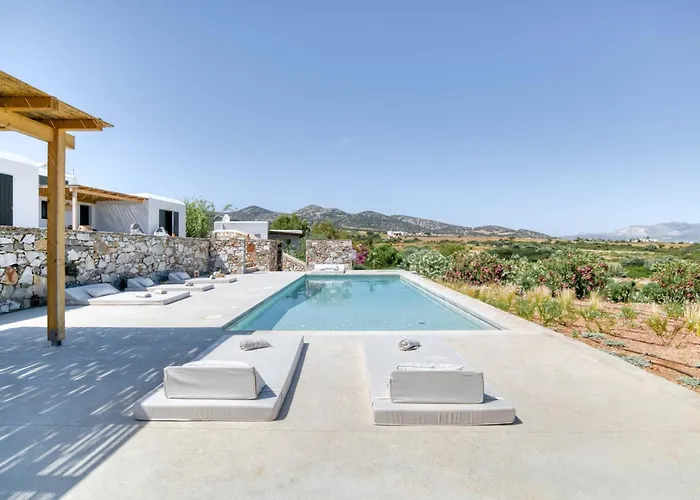 Villa Stone Pine House - Private Pool Antiparos